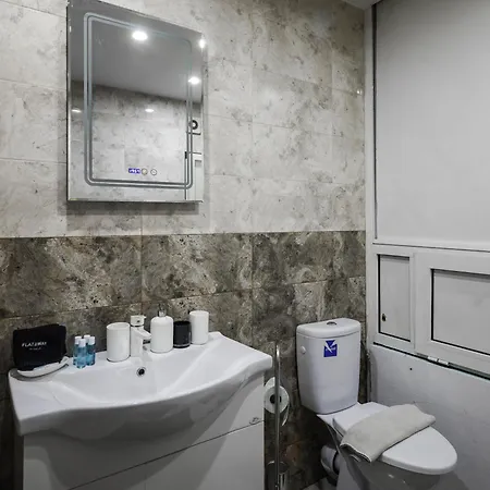 The Cosmopolitan Shine 1-bdr Pet-friendly Flat 索菲亞
